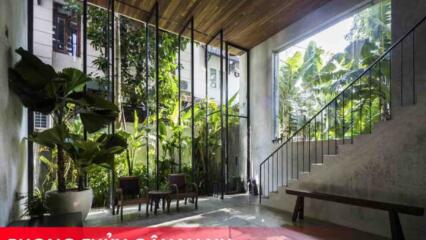 Lưu ý Về Phong Thủy Cây Xanh