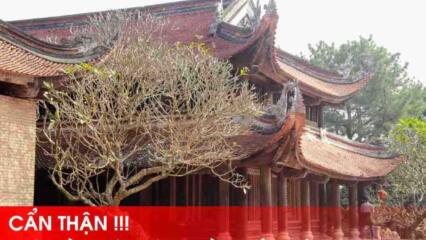 Nhà Gần Chùa, đình, đền, Miếu, Phủ