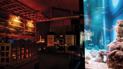 Cách Bài Trí Căn Hộ đúng Phong Thủy để được Nghe đúng, Nhìn đẹp