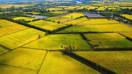 [Cập Nhật 2023] Đất 50 Năm Bị Thu Hồi đất được đền Bù Thế Nào?