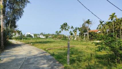 Đất Hoang được Giao để Sản Xuất Có được Cấp Sổ đỏ?