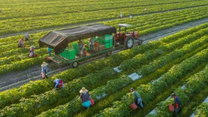 HNK Là đất Gì? Chuyển Lên đất Thổ Cư Có được Không?