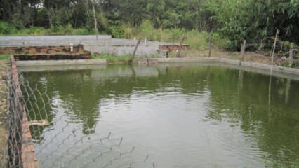 Làm Sổ đỏ đất Ao: Hồ Sơ, Thủ Tục Mới Nhất 2023